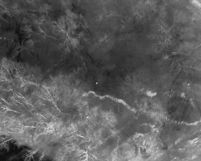 Recensement animalier par drone - Image thermique infrarouge